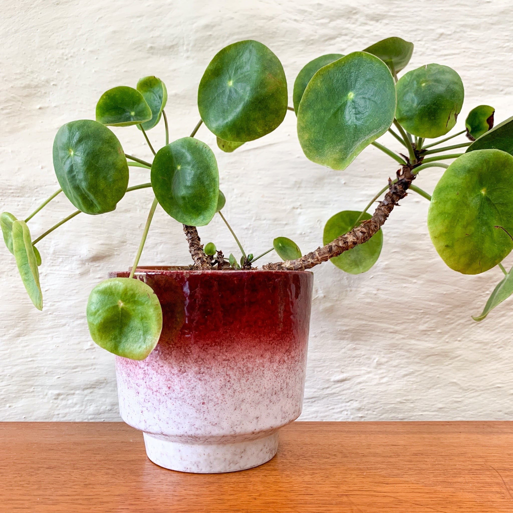 german plant pots WEST GERMAN PLANTER POT 22-23 MAREI KERAMIK 12/2