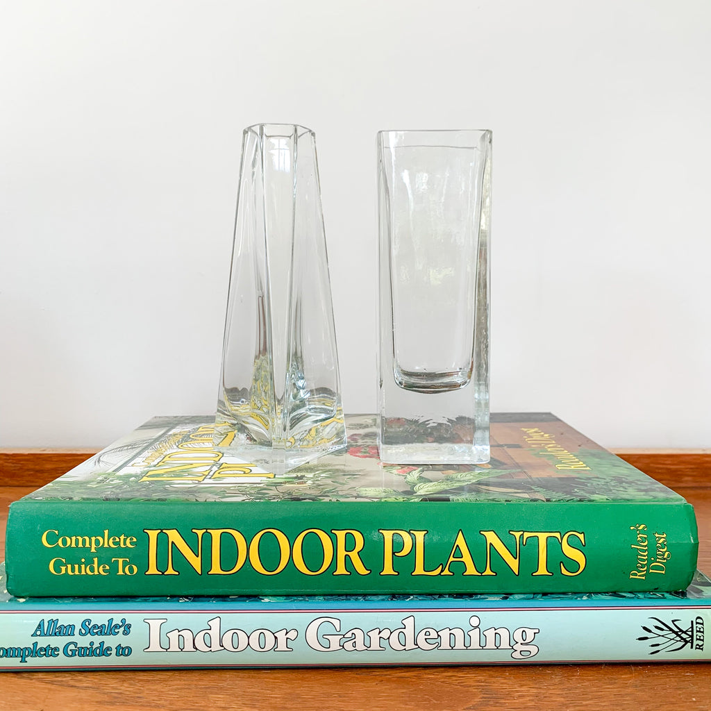GLASS PROPAGATION VASES - HEY JUDE WORKSHOP • Vintage furniture & wares.
