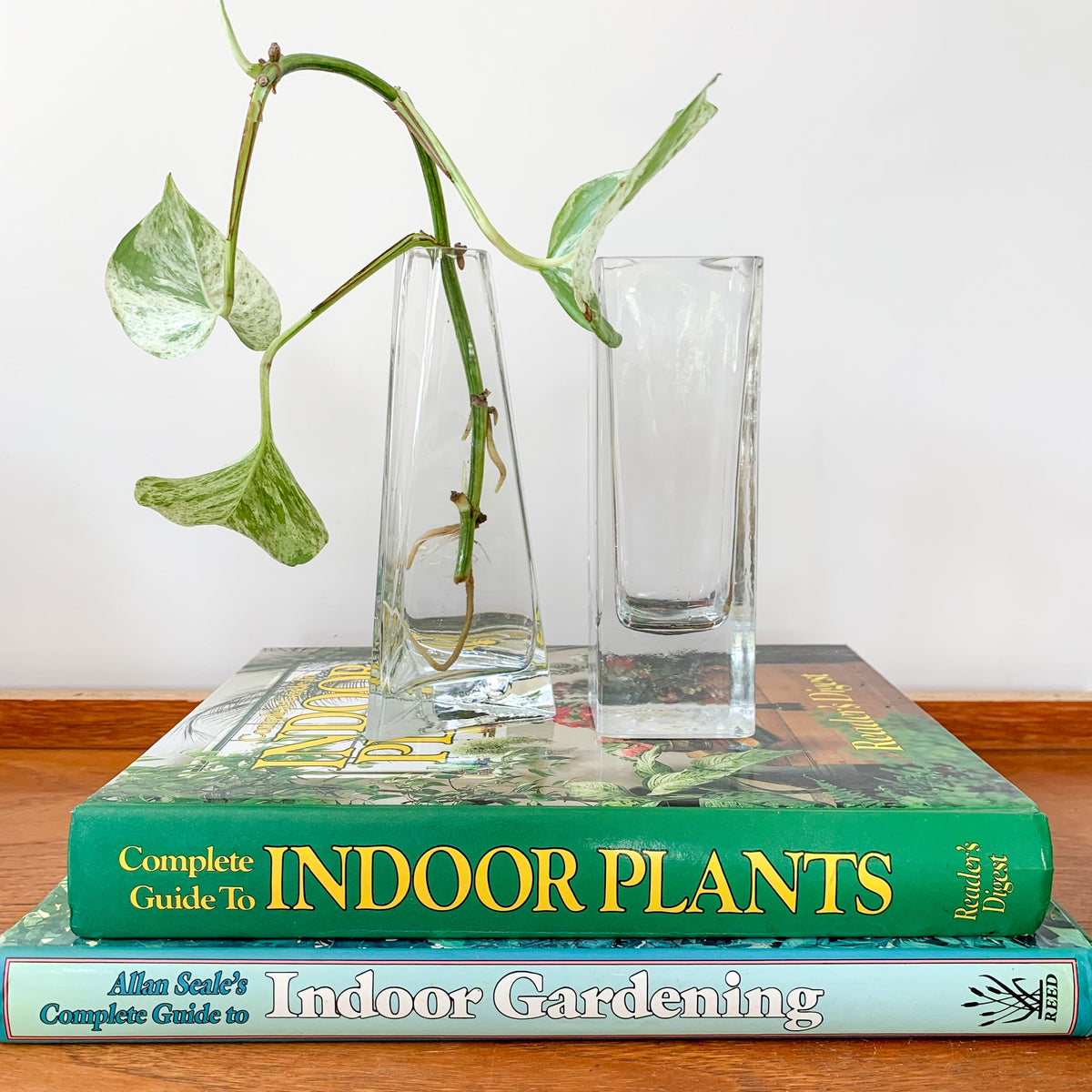 GLASS PROPAGATION VASES - HEY JUDE WORKSHOP • Vintage furniture & wares.