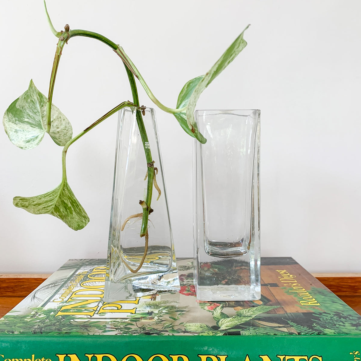 GLASS PROPAGATION VASES - HEY JUDE WORKSHOP • Vintage furniture & wares.