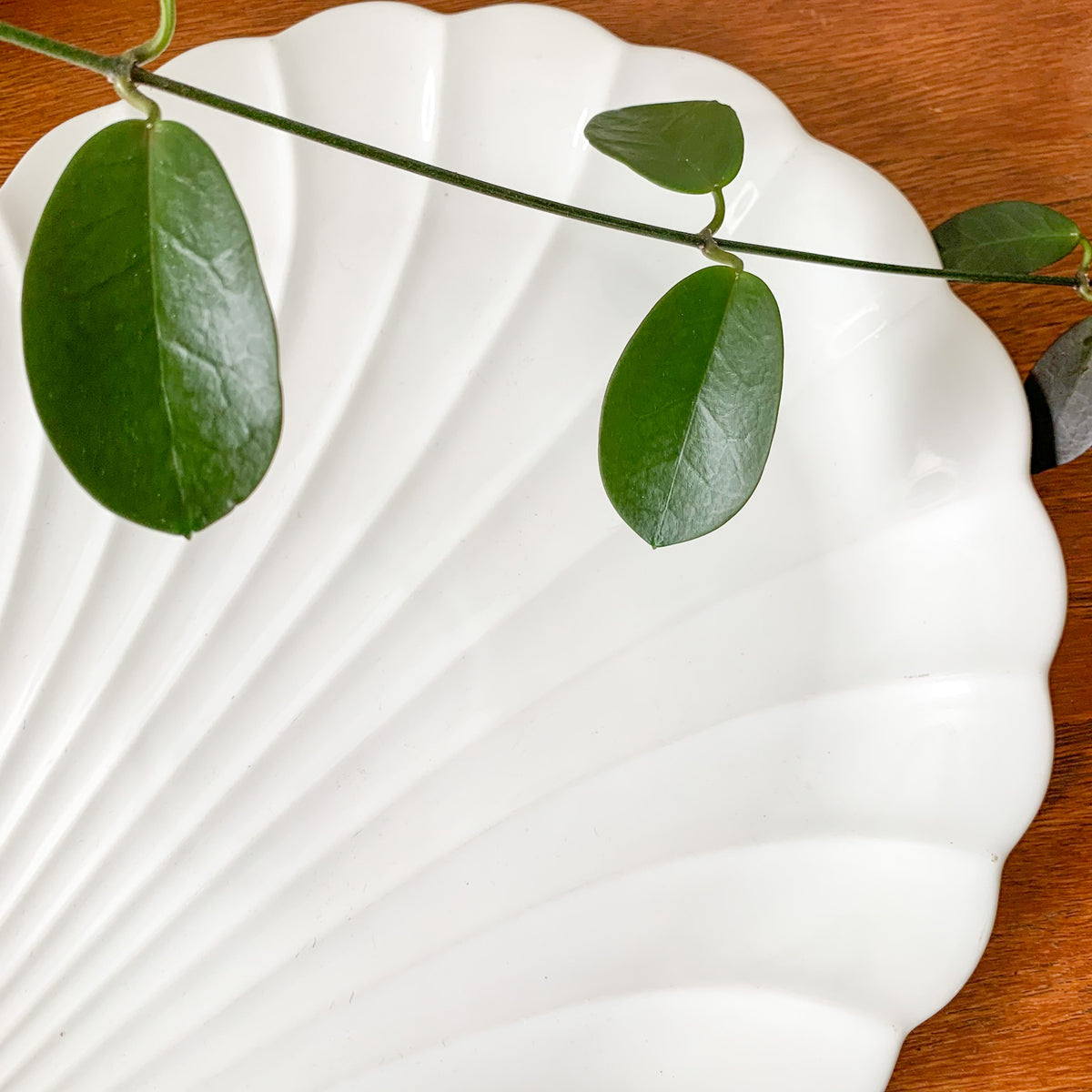 JAPANESE CERAMIC SHELL PLATTER - HEY JUDE WORKSHOP • Vintage furniture & wares.