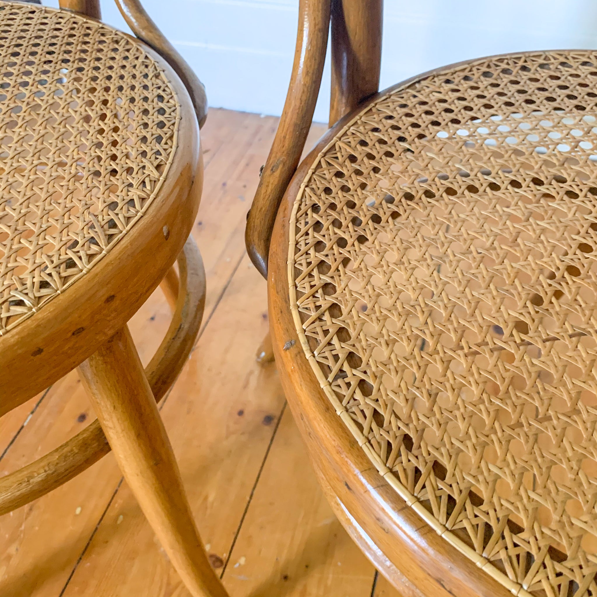 BENTWOOD RATTAN CHAIRS by MUNDUS