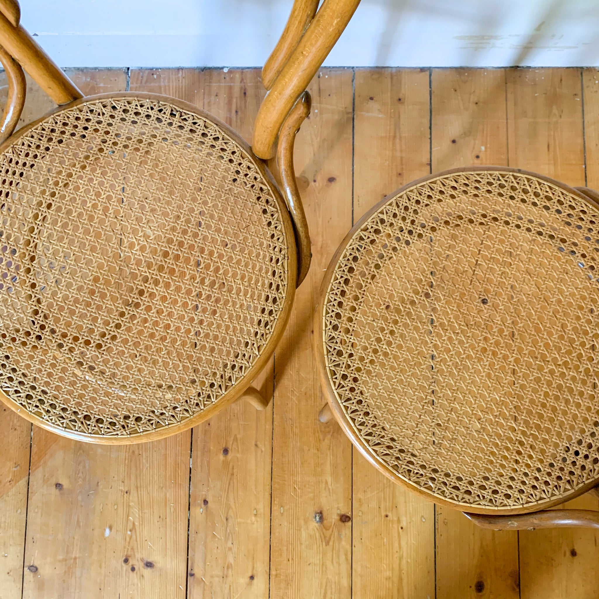 BENTWOOD RATTAN CHAIRS by MUNDUS