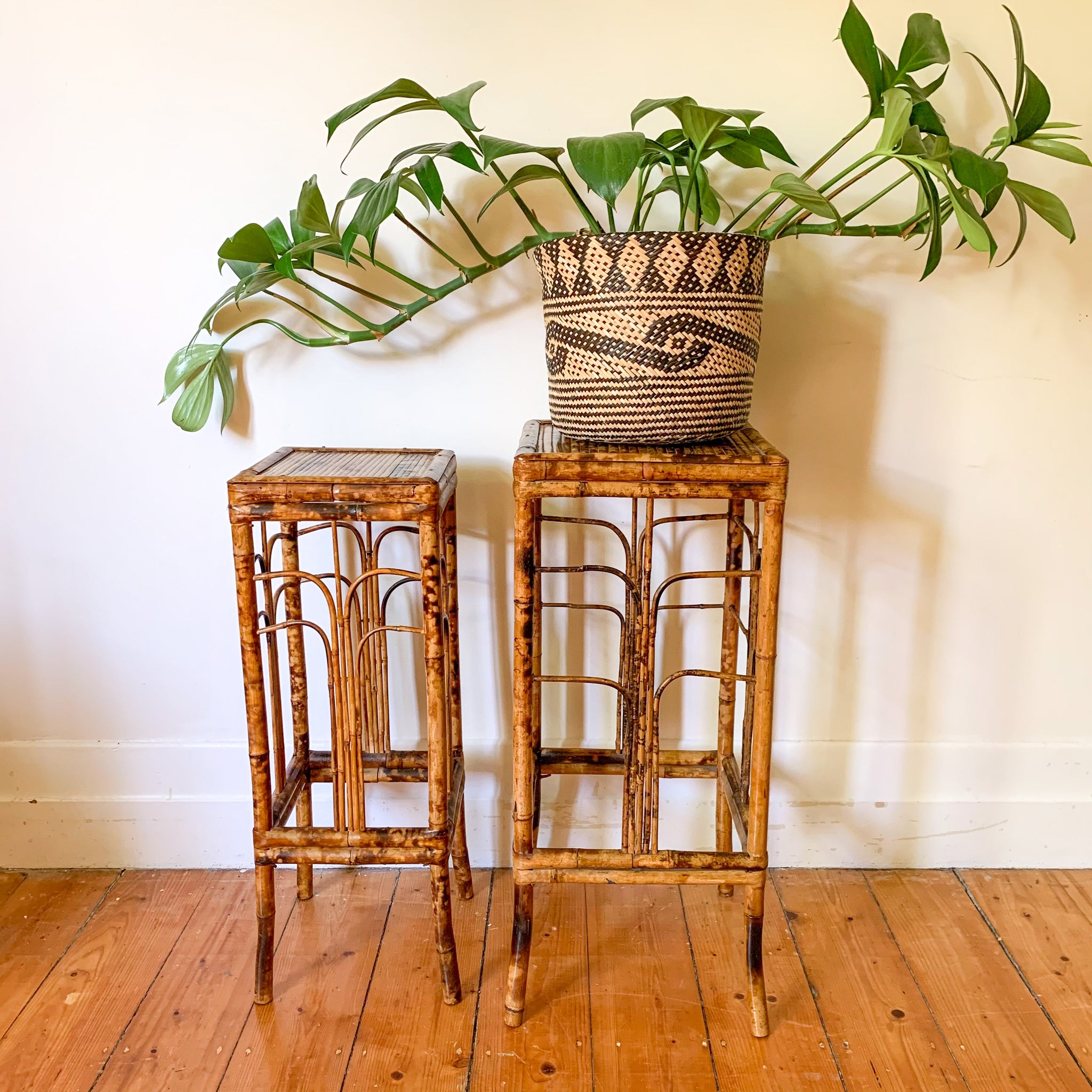 TIGER CANE PLANT STANDS
