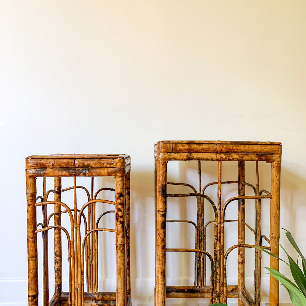 TIGER CANE PLANT STANDS