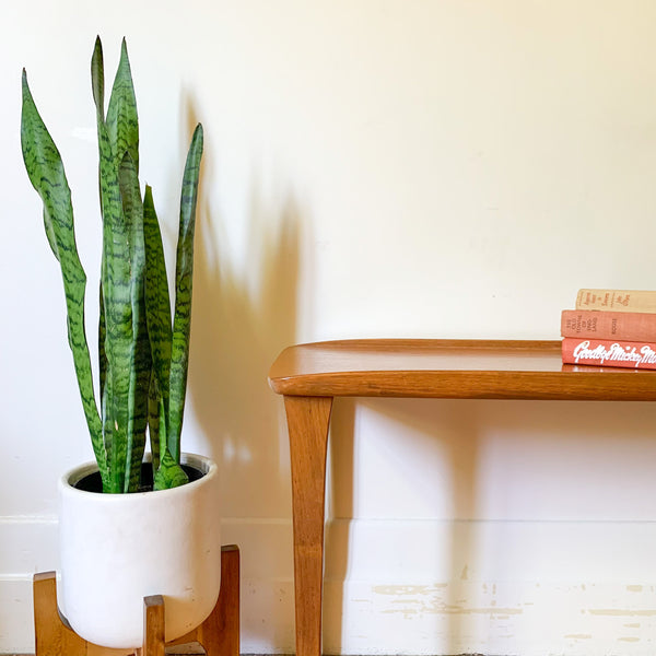 BURGESS TEAK SIDE TABLE - HEY JUDE WORKSHOP • Vintage furniture & wares.