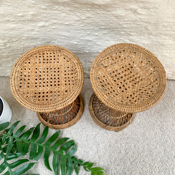 CANE PLANT STANDS