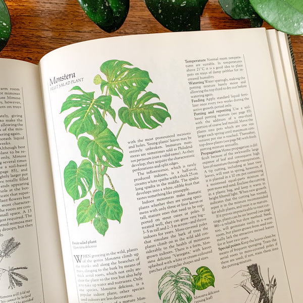 THE COMPLETE GUIDE TO INDOOR PLANTS by READER'S DIGEST