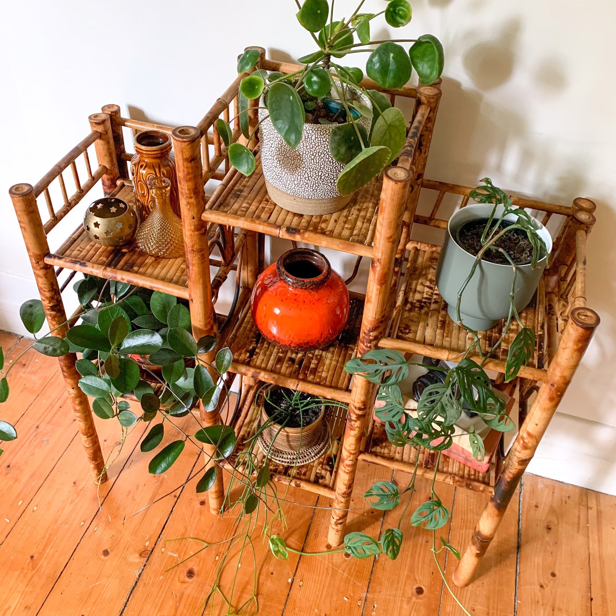 TIGER CANE PLANT STAND