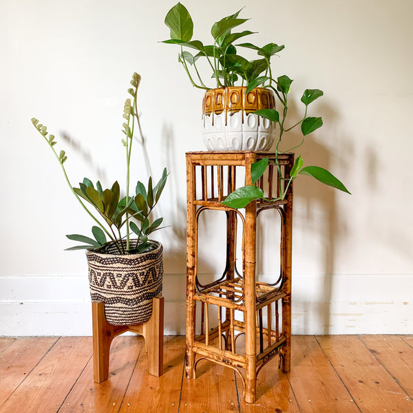 TIGER CANE PLANT STAND - HEY JUDE WORKSHOP • Vintage furniture & wares.