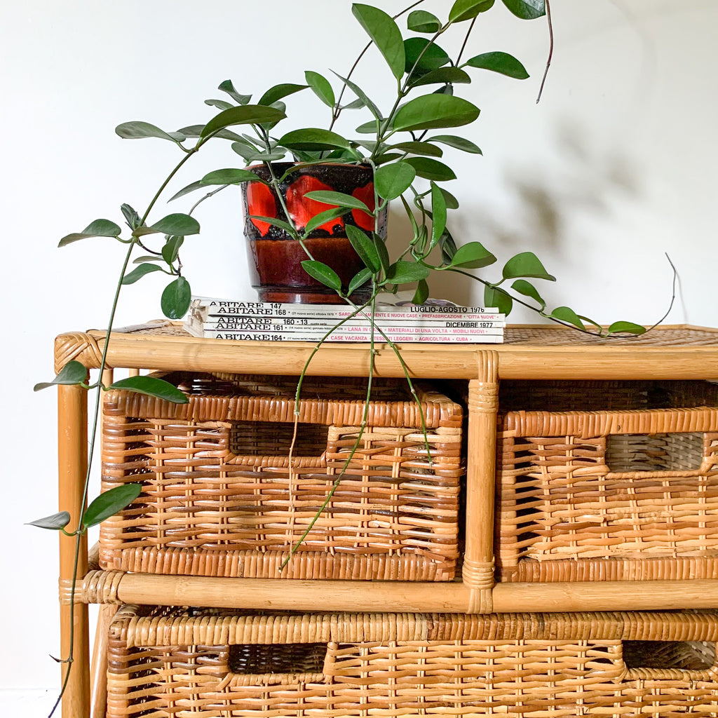 RATTAN BASKET DRAWERS - HEY JUDE WORKSHOP • Vintage furniture & wares.