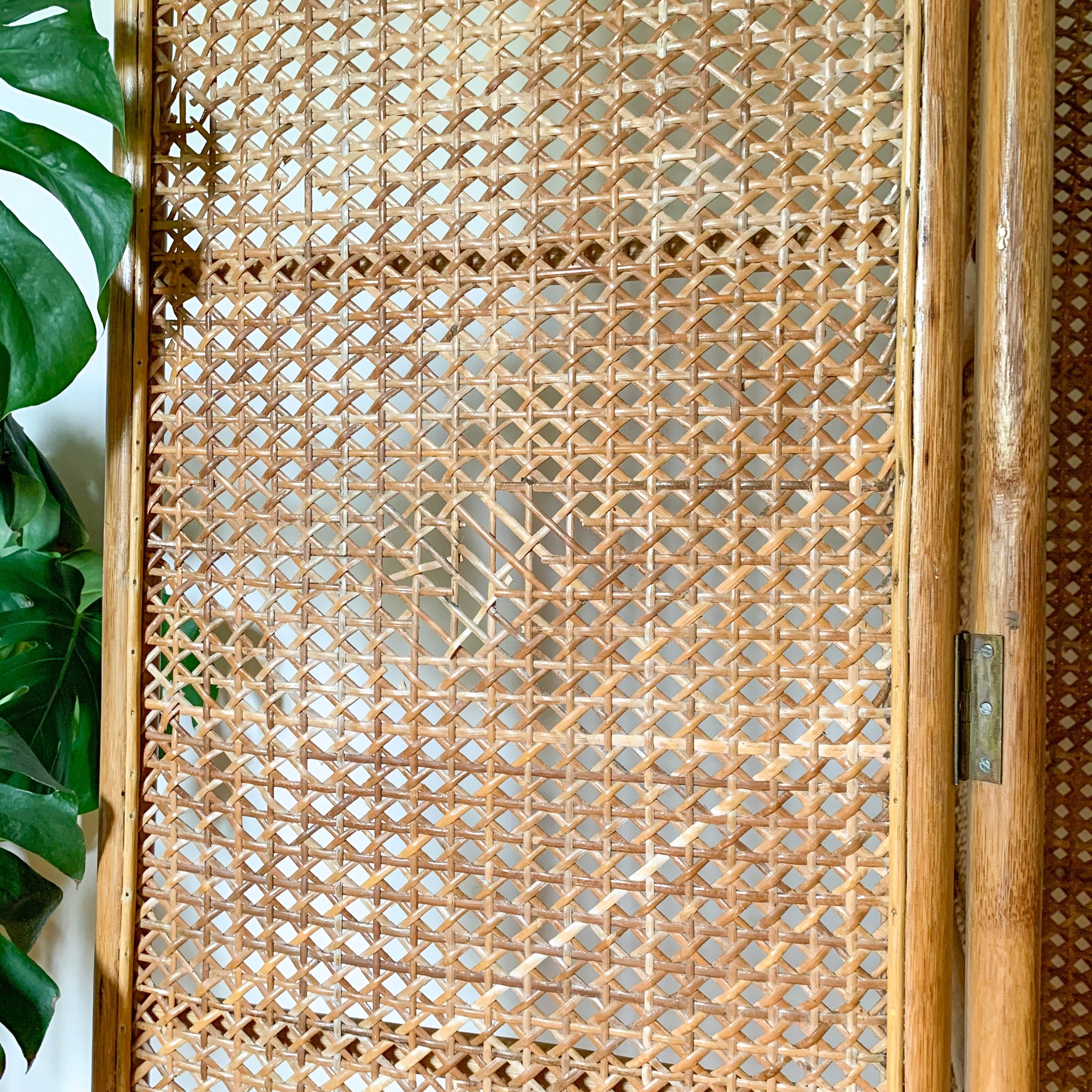 Screen Rattan Mesh RATTAN SCREEN