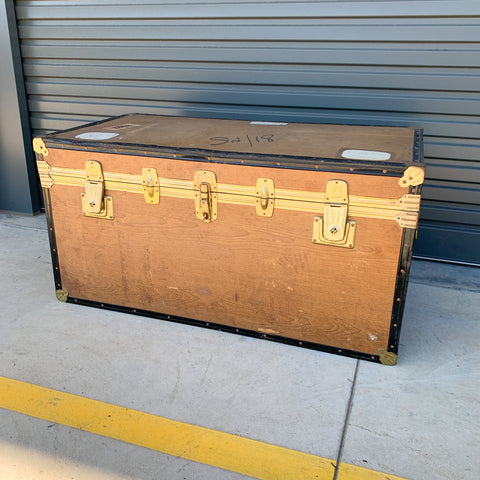 TRAVEL TRUNK 1