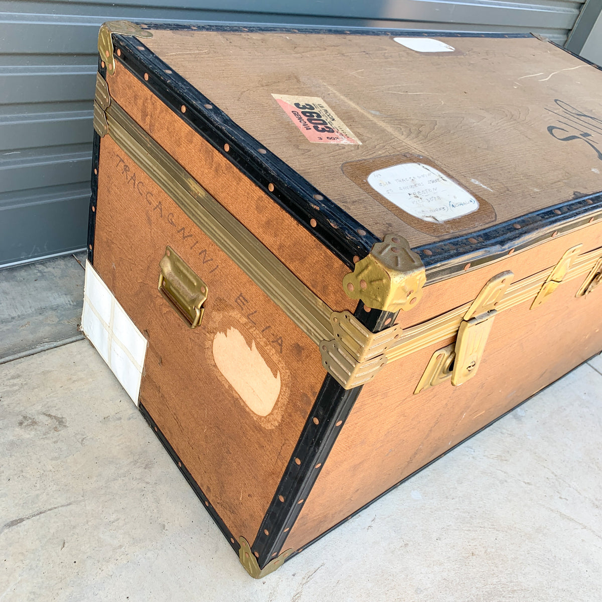 TRAVEL TRUNK 1