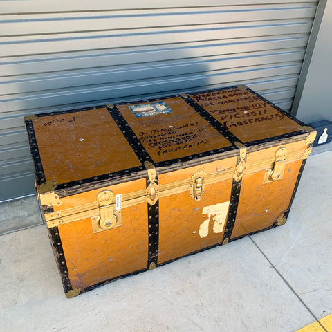 TRAVEL TRUNK 2