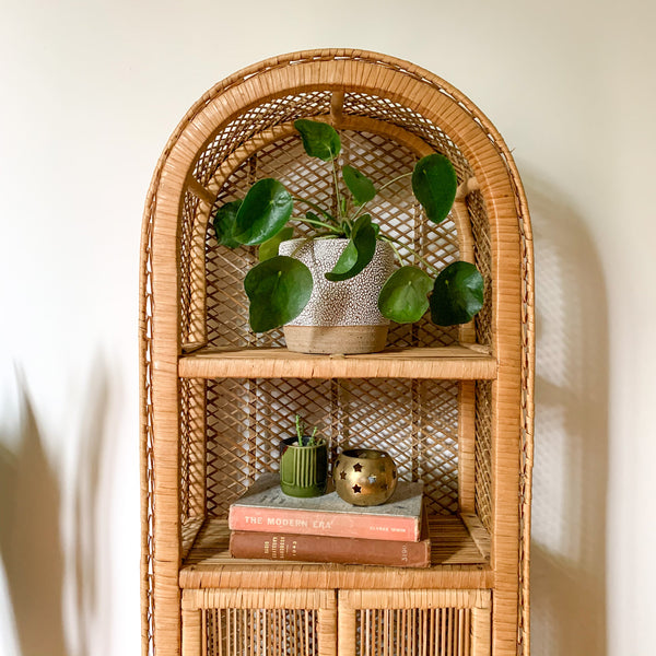 CANE HUTCH WITH CUPBOARD - HEY JUDE WORKSHOP • Vintage furniture & wares.