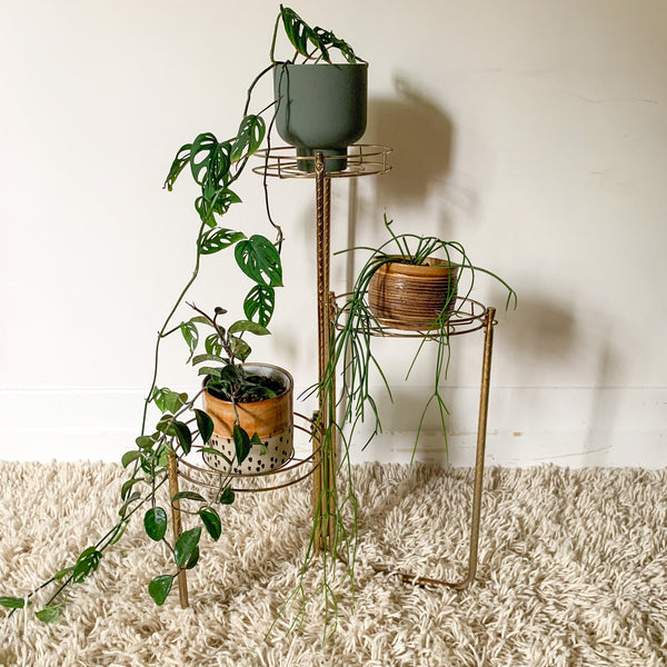 TWISTED BRASS PLANT STANDS - HEY JUDE WORKSHOP • Vintage furniture & wares.