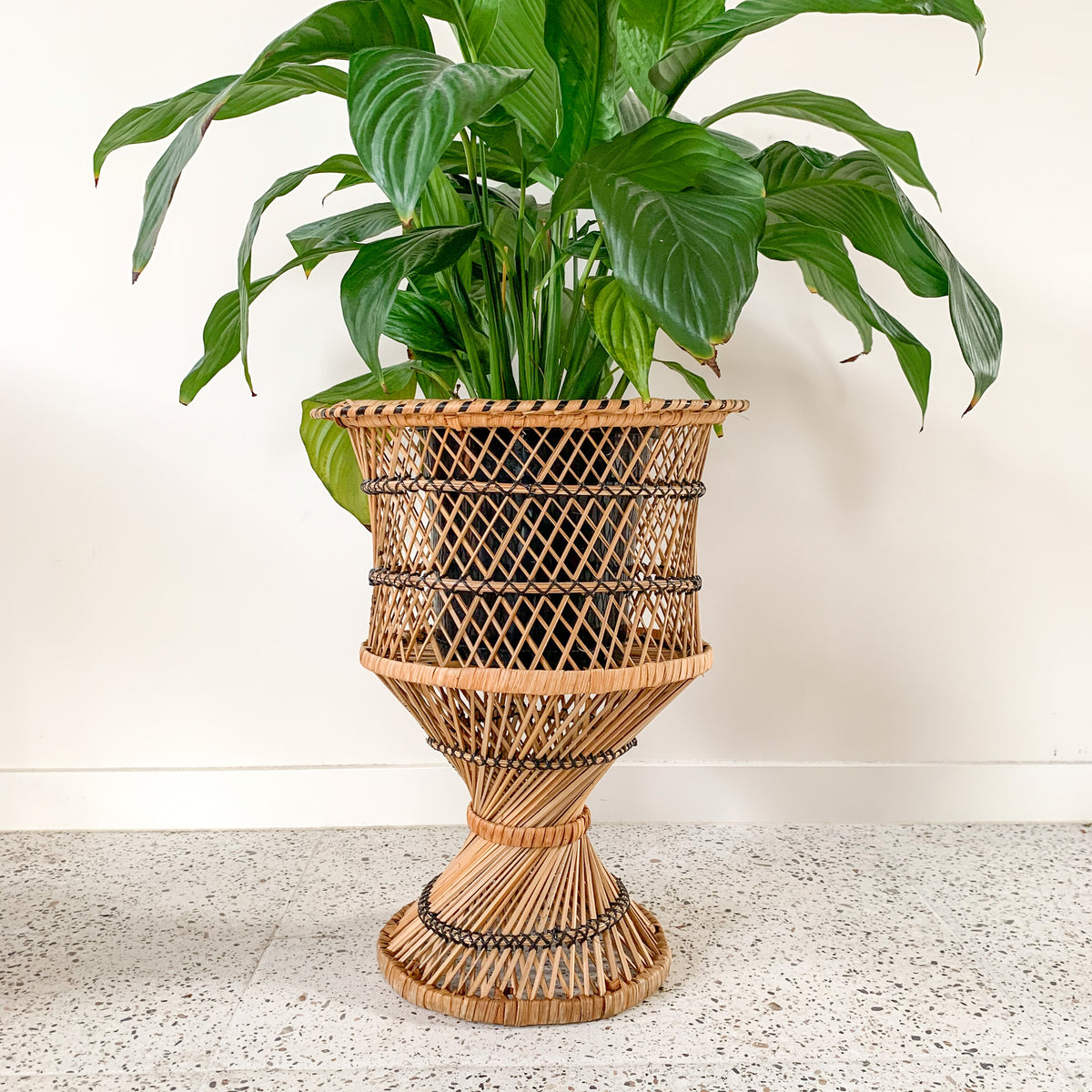 CANE PLANT STAND