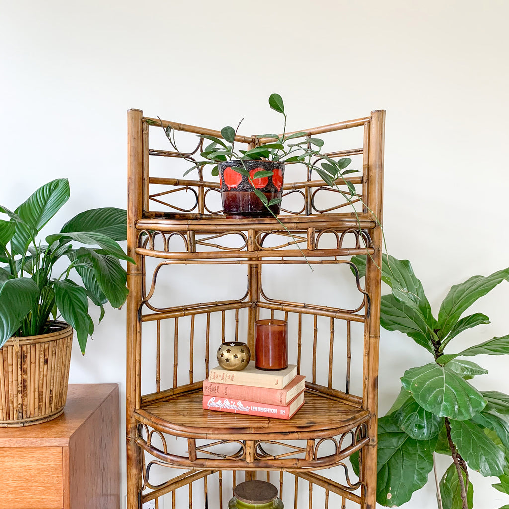 TIGER CANE CORNER SHELVES - HEY JUDE WORKSHOP • Vintage furniture & wares.