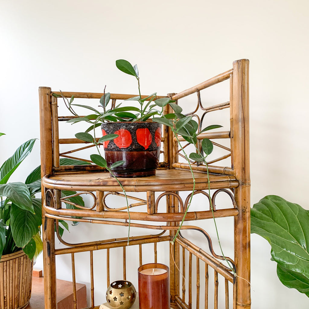 TIGER CANE CORNER SHELVES - HEY JUDE WORKSHOP • Vintage furniture & wares.