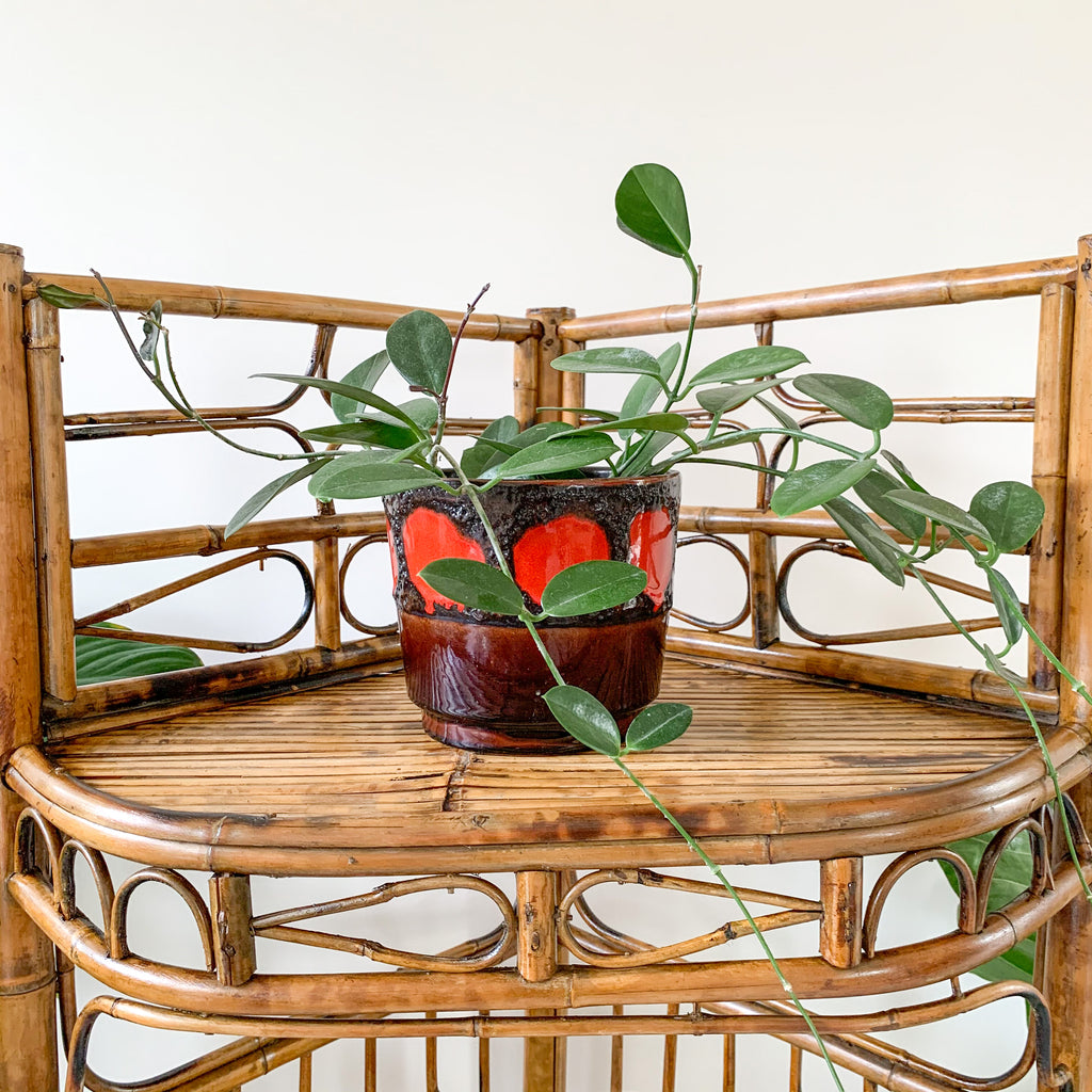TIGER CANE CORNER SHELVES - HEY JUDE WORKSHOP • Vintage furniture & wares.