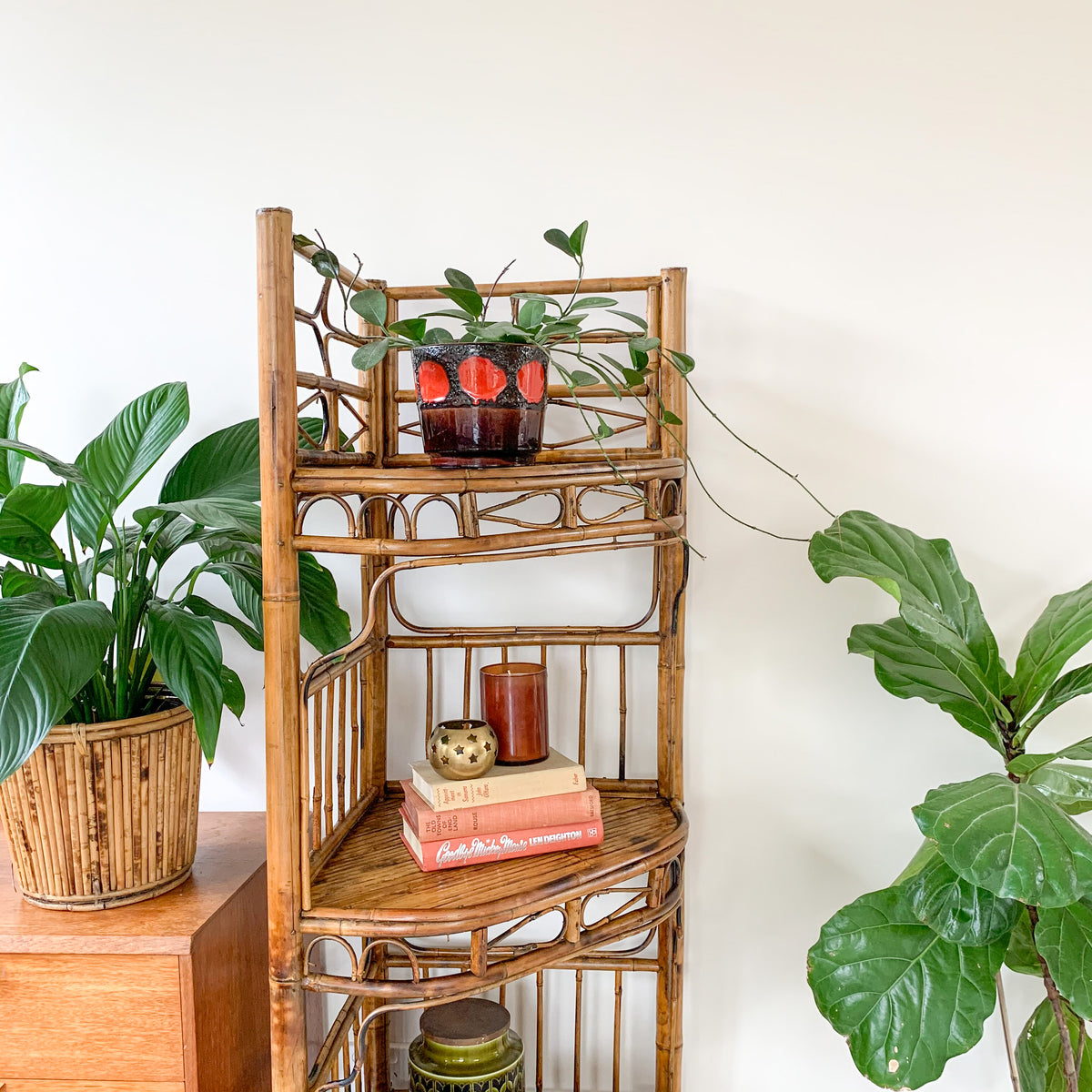 TIGER CANE CORNER SHELVES - HEY JUDE WORKSHOP • Vintage furniture & wares.