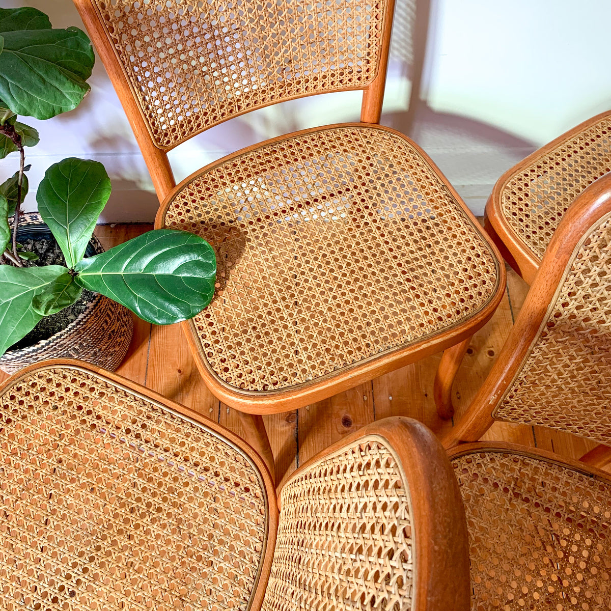 RATTAN BENTWOOD DINING CHAIRS - HEY JUDE WORKSHOP • Vintage furniture & wares.