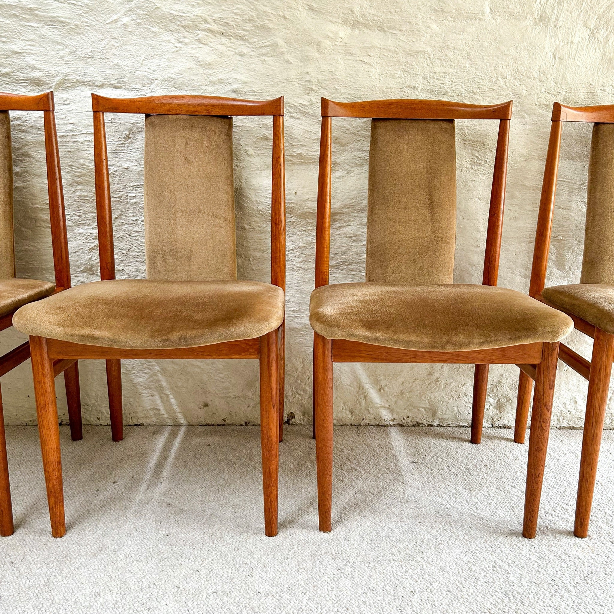 VELVET DINING CHAIRS